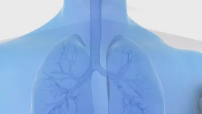 Blaue Illustration von Lungenflügel mit Partikeln zur Andeutung von FeNO.